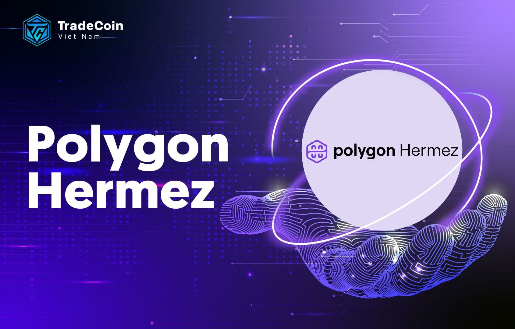 Polygon Hermez là gì? Phân tích chi tiết dự án tiền điện tử Polygon Hermez