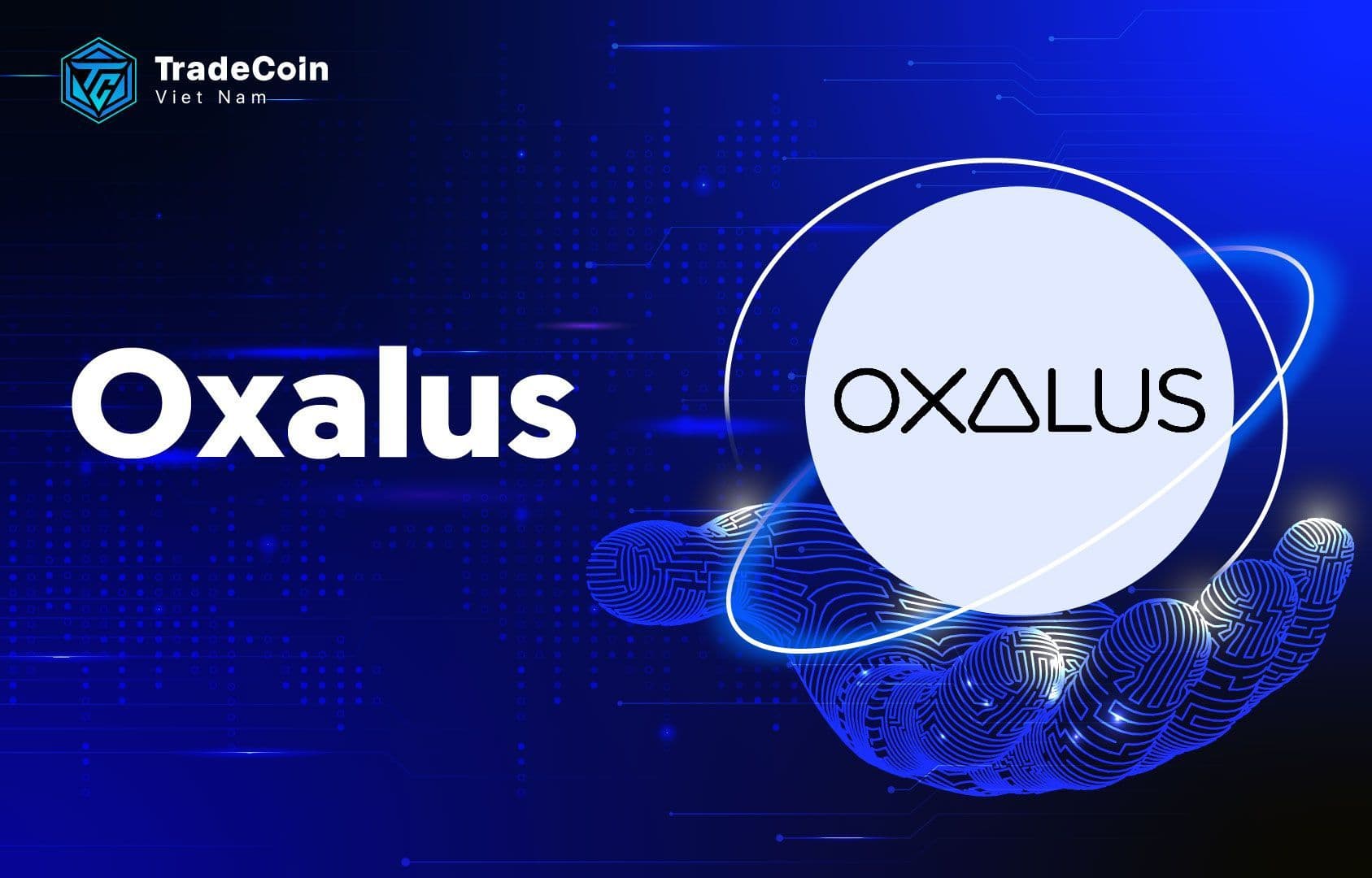Oxalus là gì? Phân tích chi tiết dự án tiền điện tử Oxalus