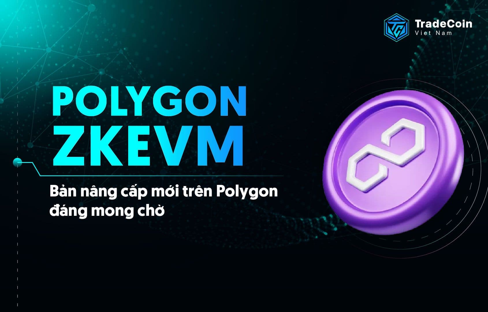 Polygon zkEVM là gì? Giải pháp mở rộng quy mô đáng chú ý từ Polygon