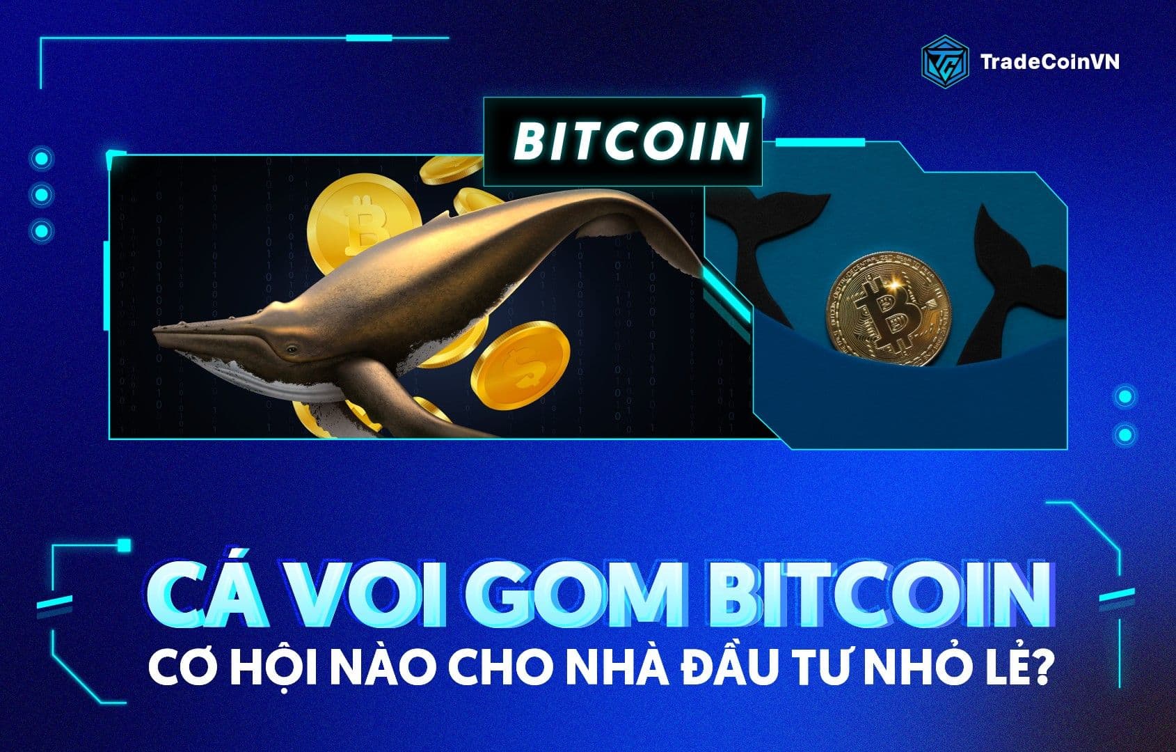 Cá voi âm thầm gom Bitcoin, liệu nhà đầu tư nhỏ lẻ có thể chen chân?